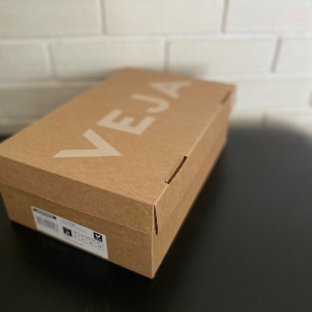 Veja White Sneakers (V-10)
